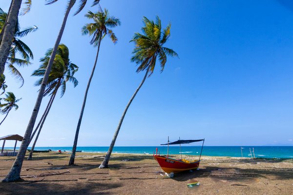 Top Tips for Planning Memorable Guided Castle Tours in Northern Ireland