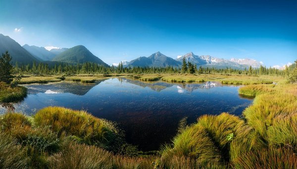 Ultimate Guide: Key Tips for Booking Your Perfect UK Holiday Rental for an Unforgettable Cycling Adventure